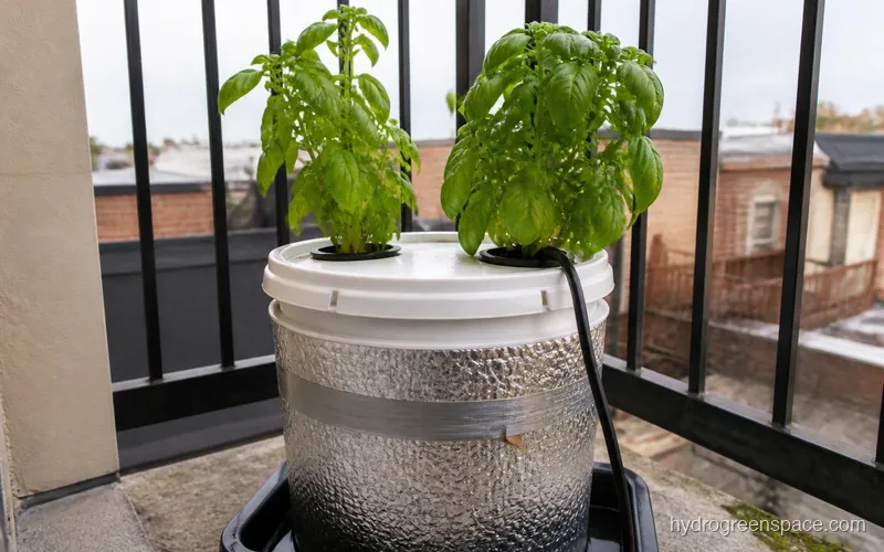 Compact hydroponic setup with silver reflective insulation on the reservoir and a drip tray on a balcony railing