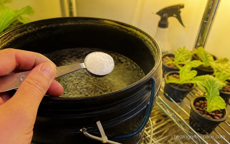 Measuring spoon with nutrient powder over a hydroponic reservoir