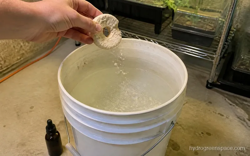 Hand adding a BTI mosquito dunk to a hydroponic reservoir next to a nutrient bottle
