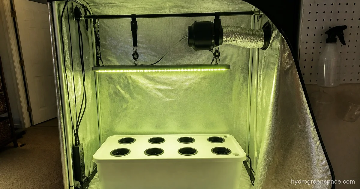 Grow Tent Setup for Hydroponics: Step-by-Step Guide