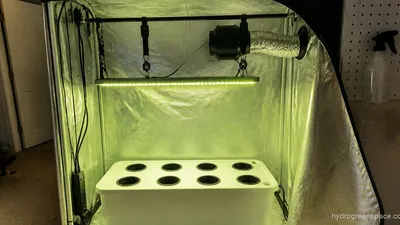 Grow Tent Setup for Hydroponics: Step-by-Step Guide