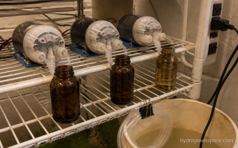 Close-up of Growee peristaltic pumps with labeled pH Up, pH Down, and nutrient solution bottles lined up beside a hydroponic reservoir