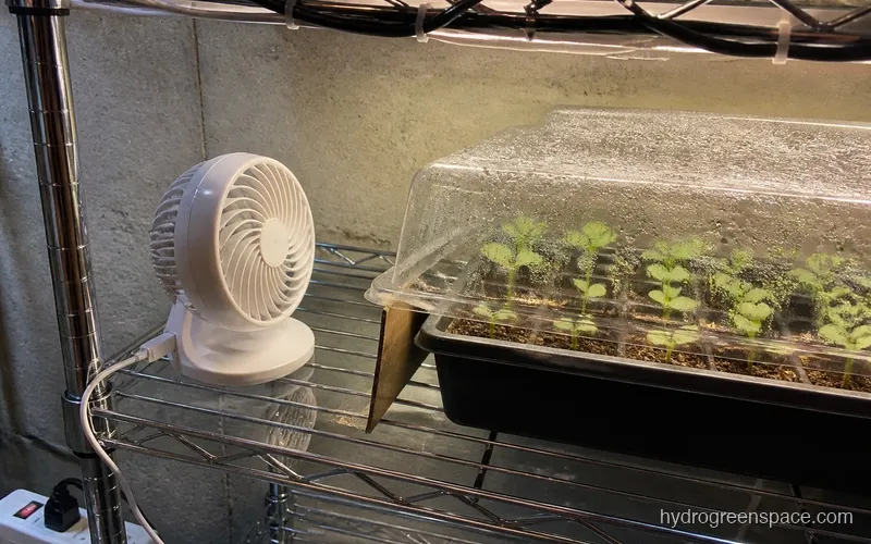 A small USB fan positioned near a seed germination tray with humidity dome partially vented