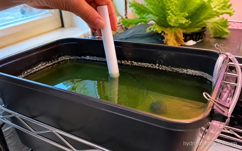 A hand dipping a digital pH meter probe into a hydroponic reservoir, air stone bubbles visible below, yellowing lettuce leaves in background