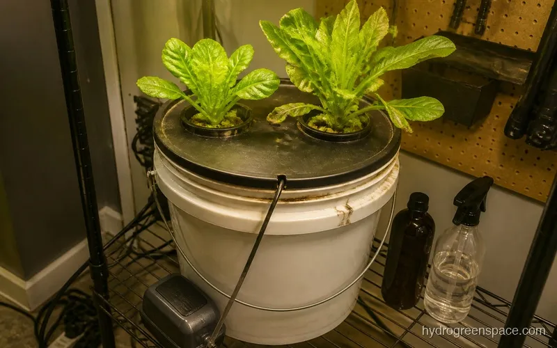 A lidded 5-gallon hydroponic bucket with net pot lid, healthy lettuce growing, air pump tubing visible, dark nutrient bottles nearby on a shelf