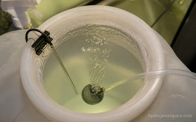 Thermometer probe submerged in a hydroponic reservoir next to an air stone producing bubbles