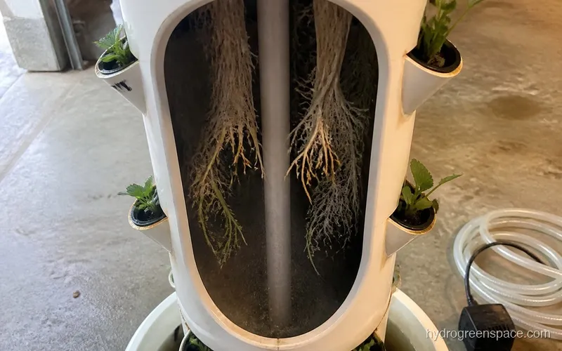 Cross-section view of an aeroponic tower showing white roots hanging in the cavity with mist rising from the central tube